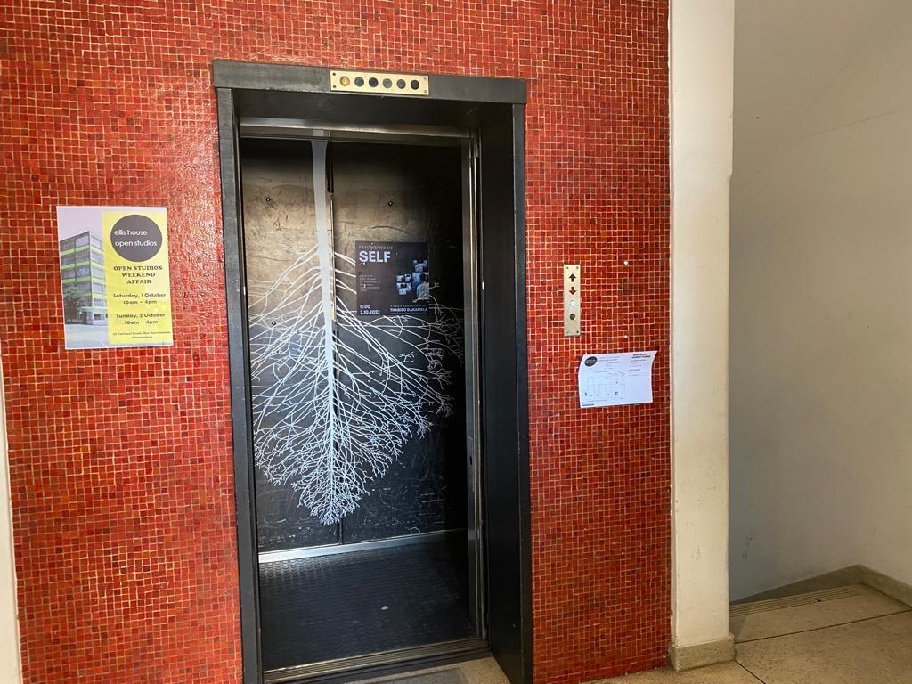 305845541.jpg
