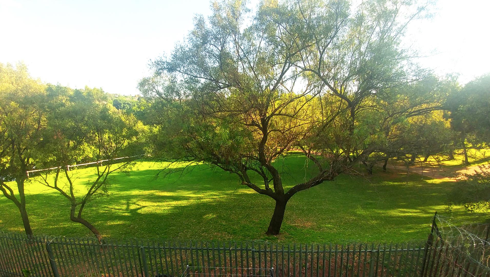 730615_UJ_Grounds2.jpg