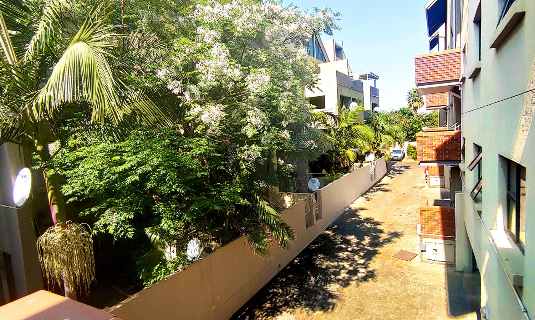 731774_complex3.jpg