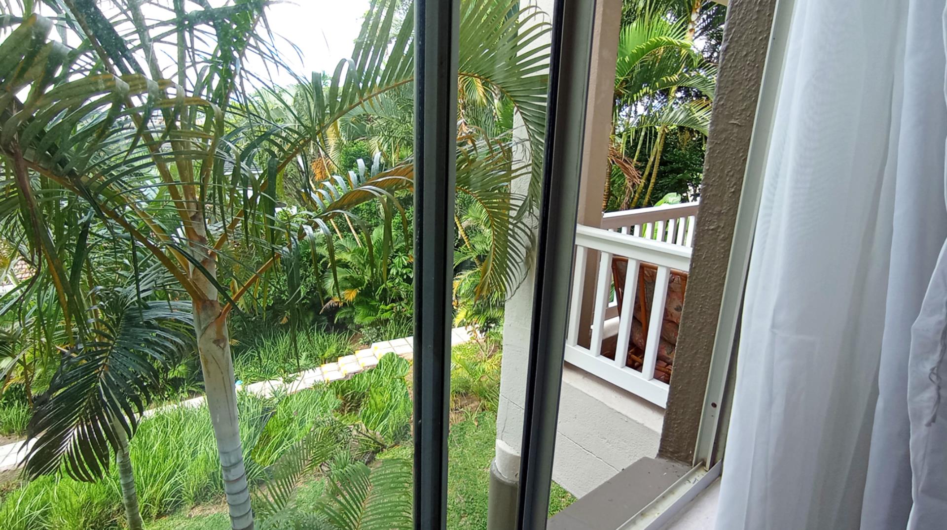 739821_bed_window.jpg