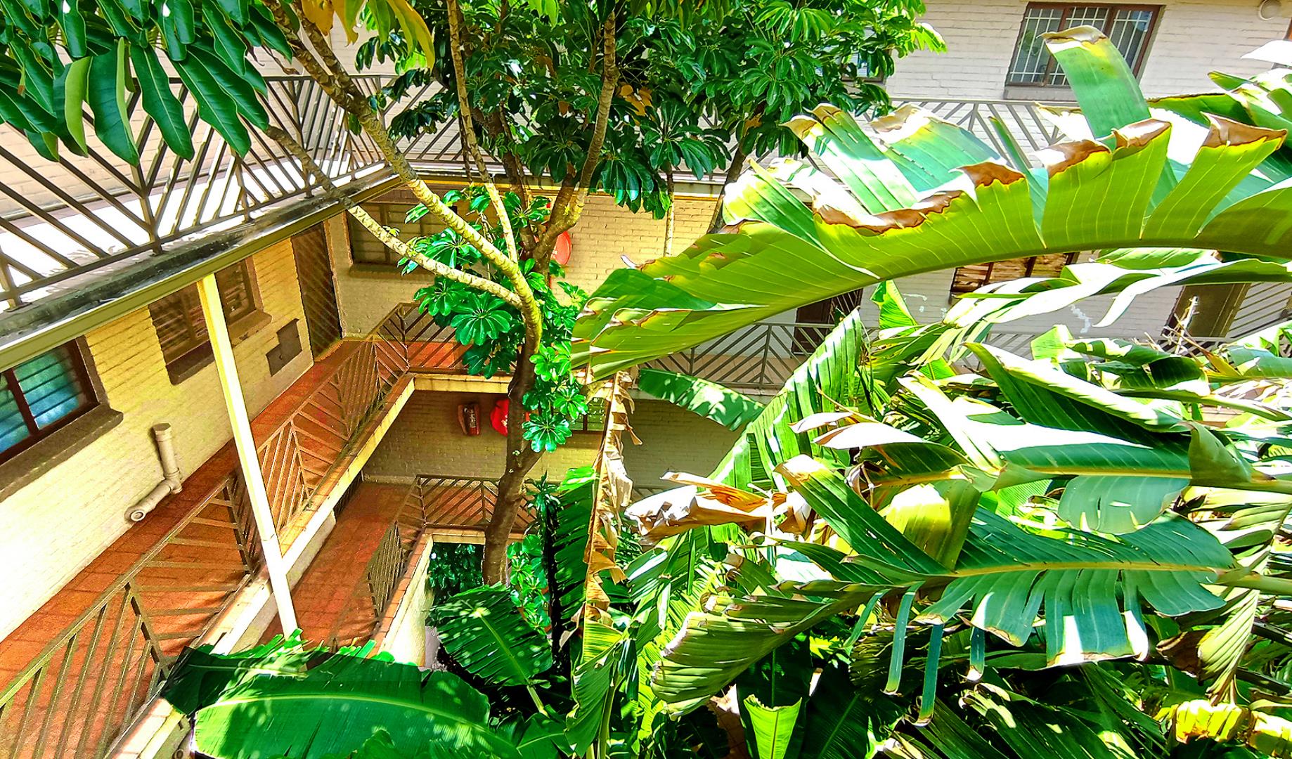 751543_complex.jpg