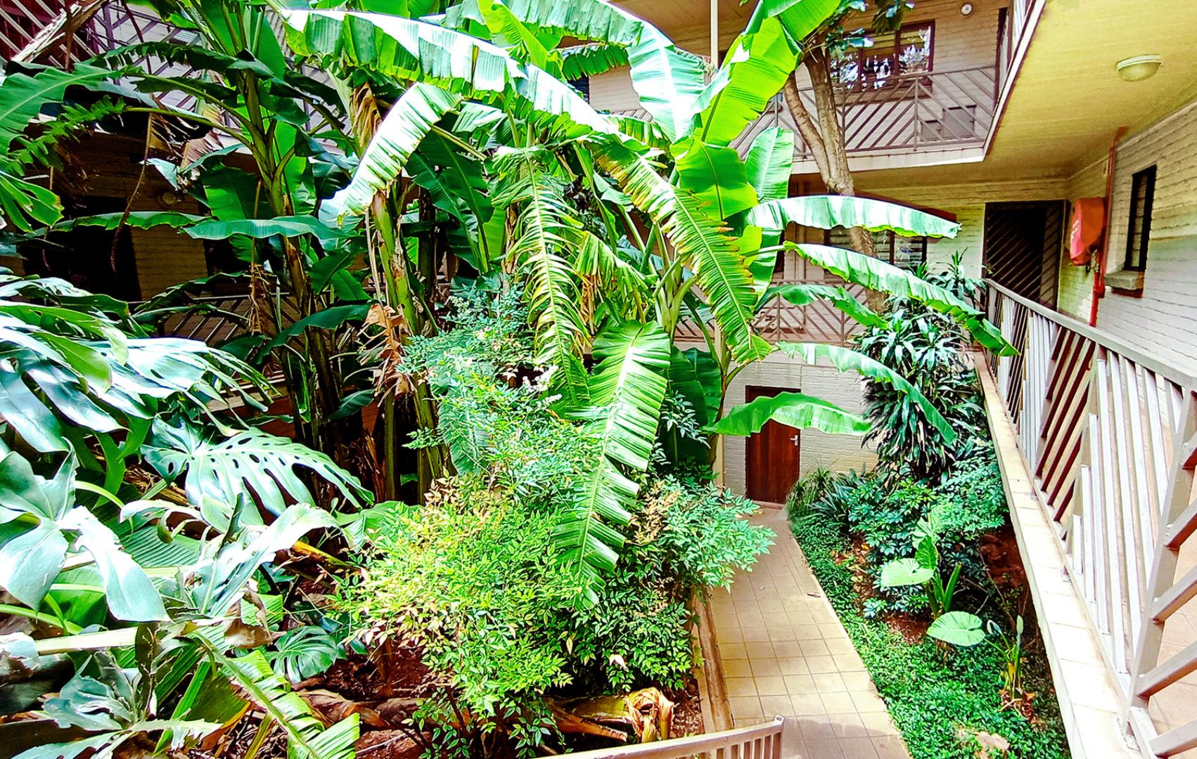 751543_complex2.jpg