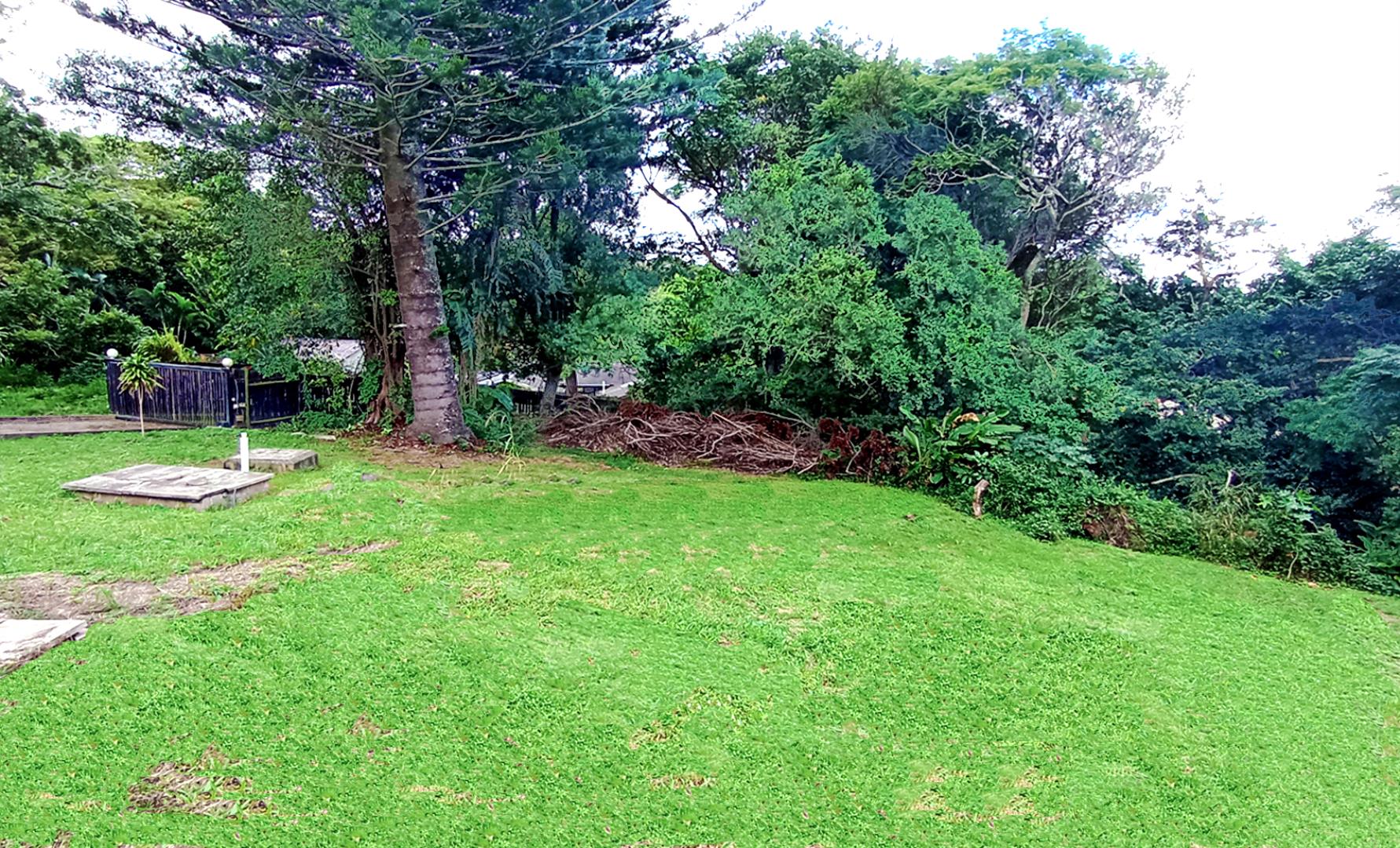 765156_garden.jpg