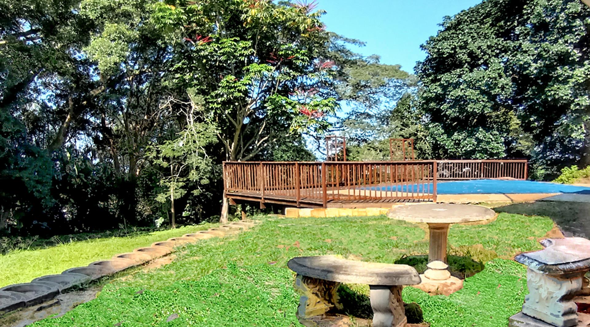 765156_garden2.jpg