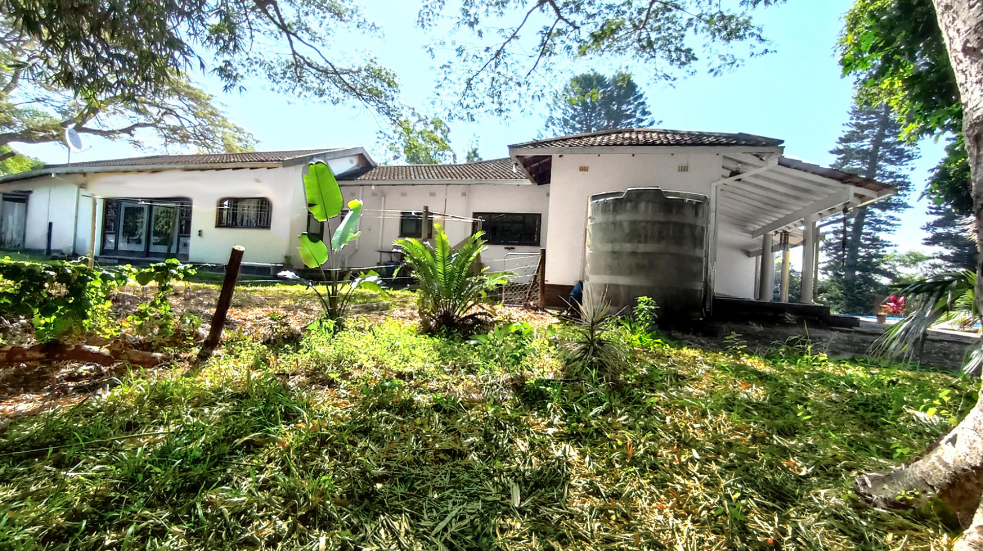 765156_garden_back2.jpg