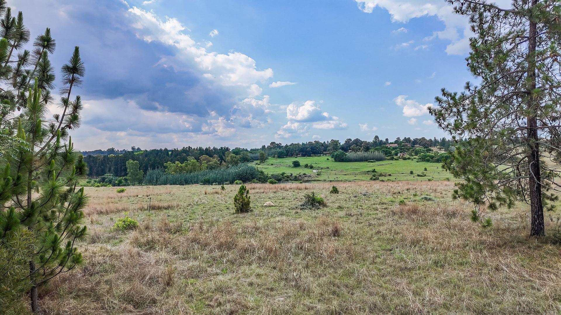 765595_DJI_20251112151110_0510_D.jpg