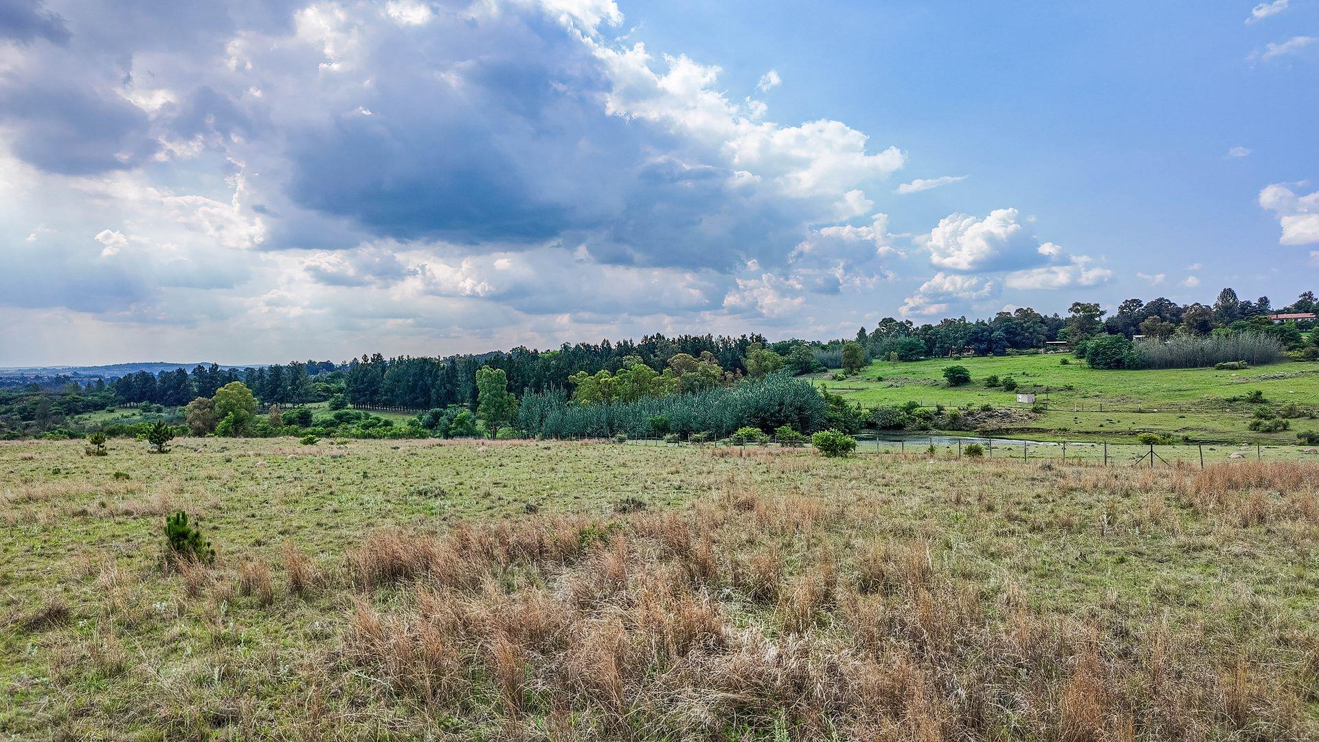 765595_DJI_20251112151200_0511_D.jpg