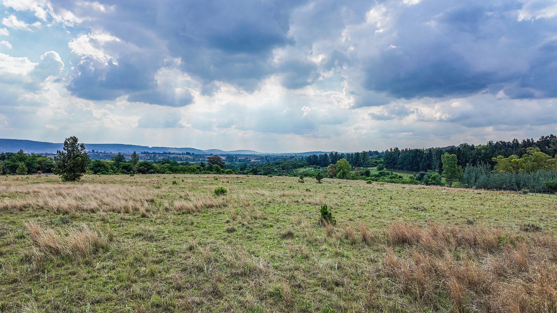 765595_DJI_20251112151204_0512_D.jpg