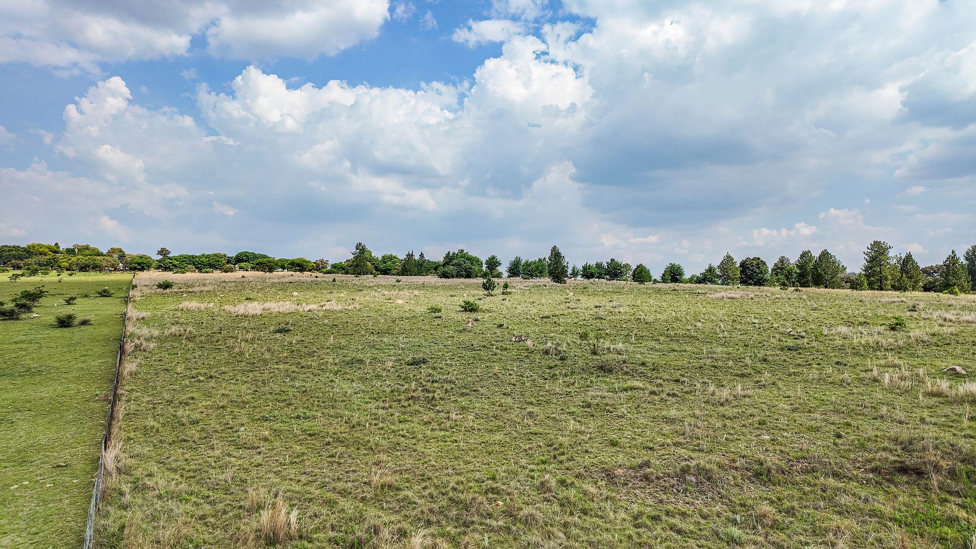 765595_DJI_20251112151914_0529_D.jpg