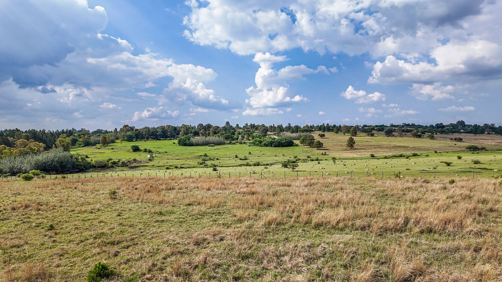 765595_DJI_20251112152534_0532_D.jpg